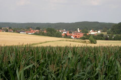 Langenhettenbach Sommer 2004